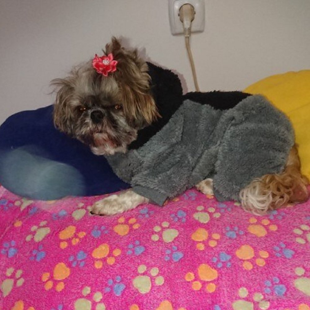 Winter Clothes For Small Medium Dogs and Cats, Jumpsuit For Dogs and Cats - Picture 6 of 8